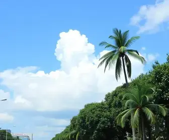 vagas de emprego